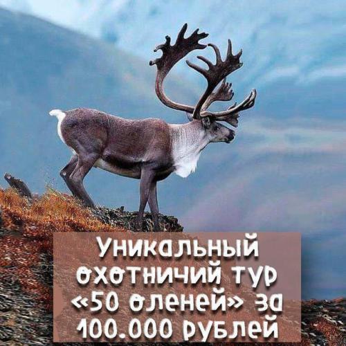 Охота в Эвенкии